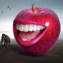 랭스치과의원 Daum카페