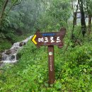 영주 국립산림치유원 데크로드 이미지