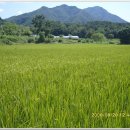 정일농장 이미지