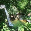 약수한우농장 이미지