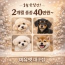 청도펫동물병원 이미지