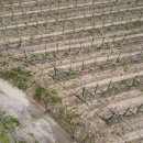 궁촌농장 이미지