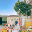 영신농산