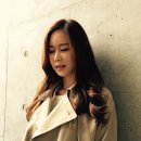 시영드라이 이미지