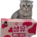 우양냉장 주유소 앞 | 고령 고양이 건강간식 추천 생유베리마치부터 열빙어트릿까지 내돈내산 후기