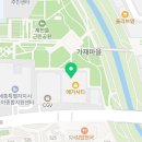 세종 홍복싱 MMA멀티짐 | 내면의 답답함을 시원하게 격파하는 도심 속 해방구 - 세종홍복싱MMA 세종시복싱