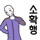 미핑
