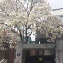 중앙생활권 2구역 이미지