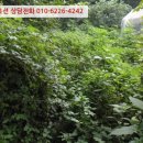 도내3리 이미지