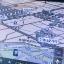 새치&꺼믄머리