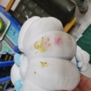 제주아이노스 | 제주도키즈펜션: 아이노스펜션 사계룸 후기