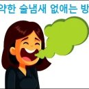 고약국 Daum카페