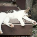 화인민박 이미지