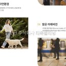 도구머리공원1-1 이미지