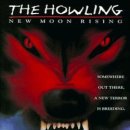 하울링 Howling 이미지