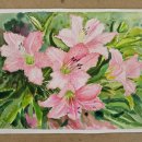 재궁동 행정복지센터 이미지