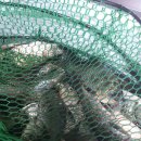 광천 하상주차장 이미지