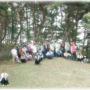 삼한국대부인순흥안씨묘 이미지