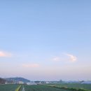 양파밭 드론 방제 작업 후기 (익산 여산면 120마지기 대규모 작업)