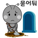 경기도 수원시 팔달구 세지로339번길 이미지