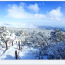 모두건강 이미지