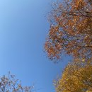 최상희피아노스튜디오학원 이미지