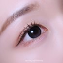 츄 | 츄렌즈 베어부 후기 14.0mm 빅 직경렌즈 허니초코, 더치블랙 착용리뷰