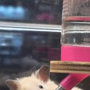 몬스타주 이미지