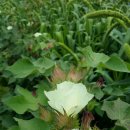 추억여행 이미지