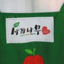 사과나무 이미지