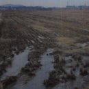 단평2리 이미지