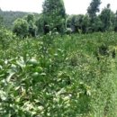 상예동-2 이미지