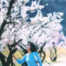 당나루 이미지