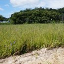 사암부동산공인중개사사무소 이미지