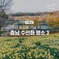 서부면 속동마을회관 이미지