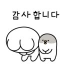 강프로중고타이어 이미지