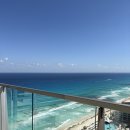 더스윗 | [칸쿤 신혼여행] 시크릿 더 바인 프리퍼드 주니어 스윗 오션뷰 비추 후기 🌊 (정글투어 명당?)