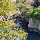 버스정류소_중앙로(현대약국) 이미지