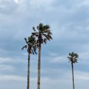 두근두근하우스 in 성산 이미지