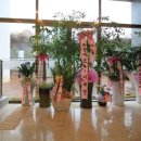 주은라파스요양병원 이미지