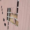 일죽 청미천 이미지