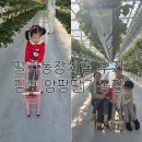 기철농장 네이버블로그
