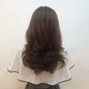 팡팡미용실 - 인제군 | 팡팡미용실