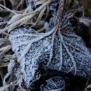 동면농장 이미지