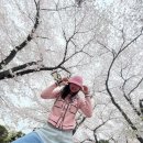 7530 | 제니샤넬헤어슈슈!! 샤넬 chanel 스테디템 헤어슈슈 구매후기AA7530