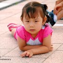 한국아트벨리댄스협회 이미지