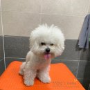 펫클럽 연희점 이미지