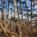 백아면사무소 이미지