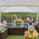 폴라리스키즈펜션 이미지