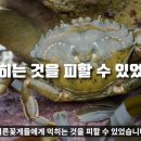 나투레(NATURE) 이미지